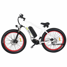 48V 500W Fashionable Sand Snow Fat Tire MTB Ebike